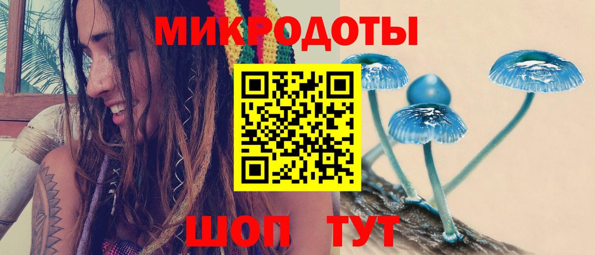 Галлюциногенные грибы Psilocybe  Вход с VPN  Белово 